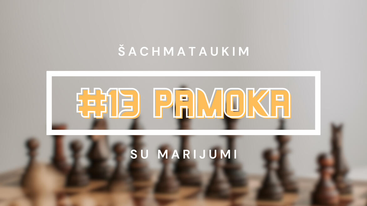 #13 Pamoka