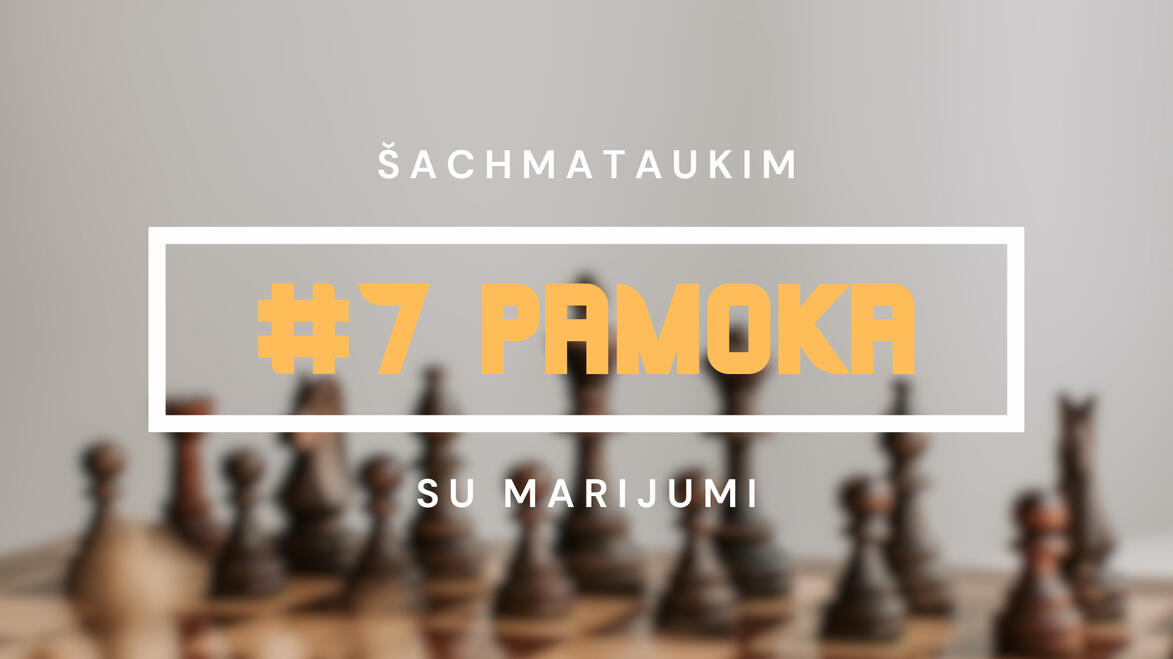 #7 Pamoka
