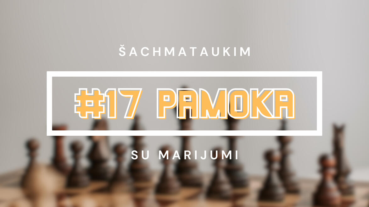 #17 Pamoka