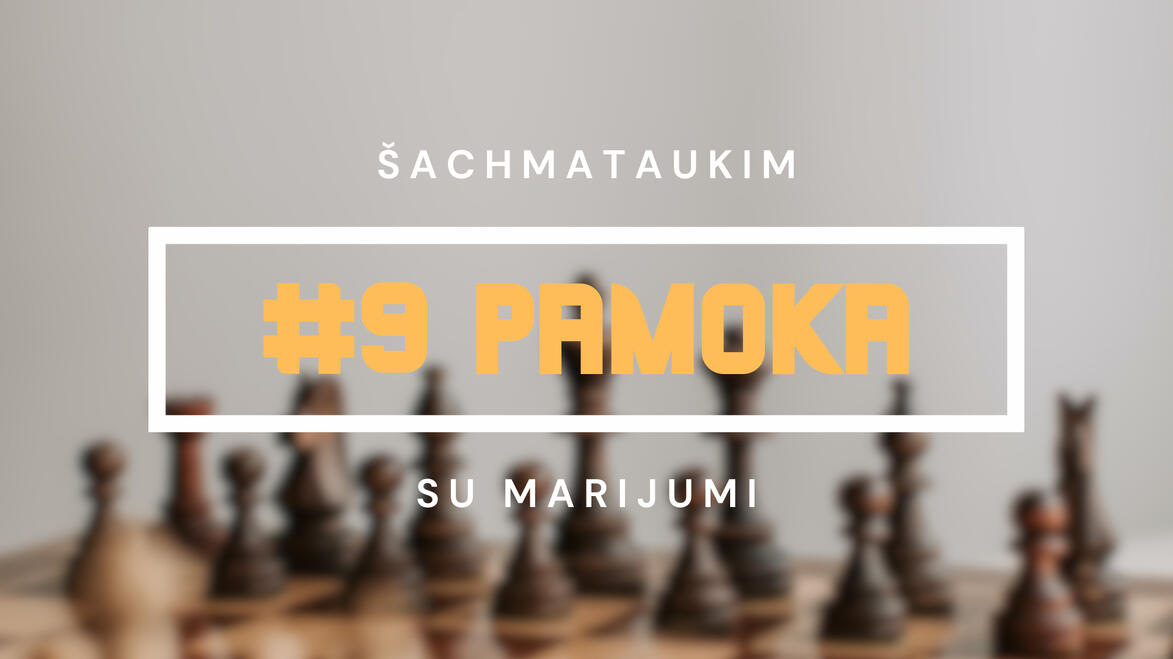 #9 Pamoka
