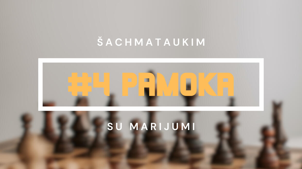 #4 Pamoka