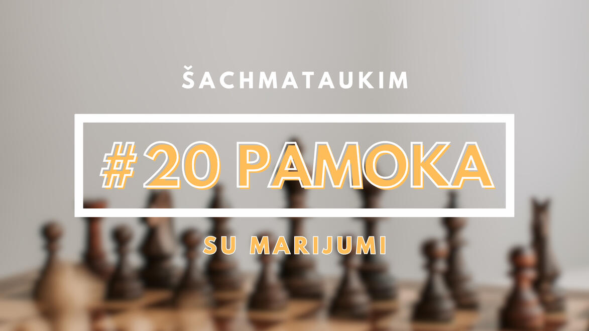 #20 Pamoka