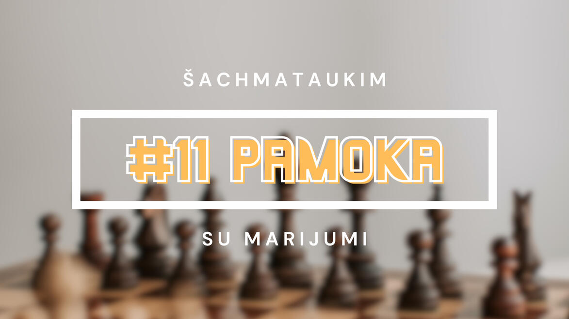 #11 Pamoka
