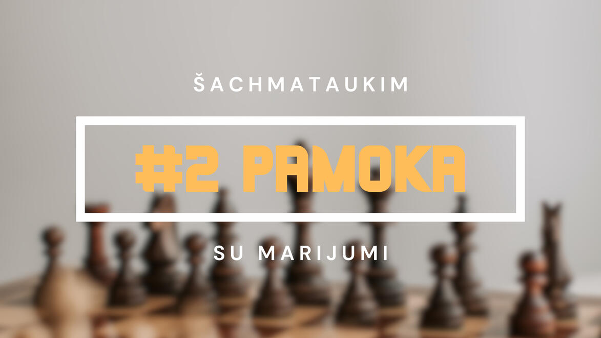 #2 Pamoka