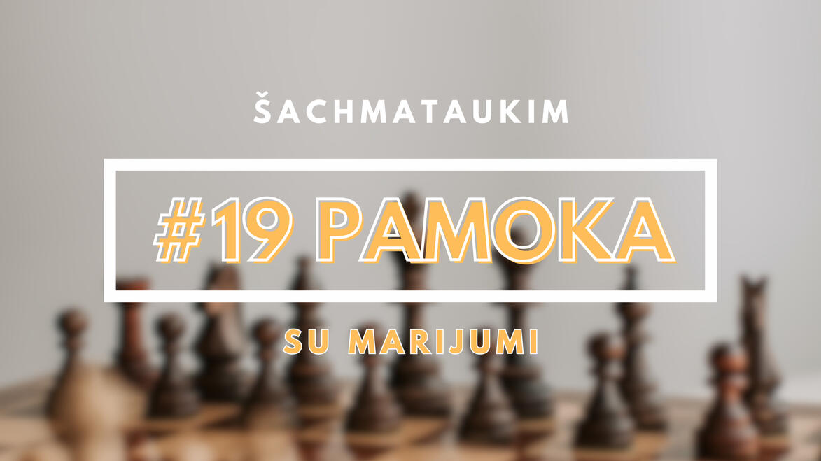 #19 Pamoka